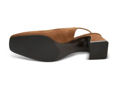 Vaneli Darsy In Brown