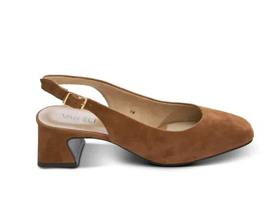Vaneli Darsy In Brown