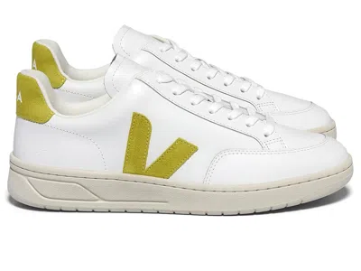 Veja V-12 In Multi