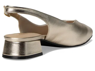 David Tate Sugar In Silver