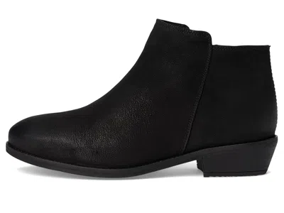 Softwalk Rocklin 2.0 In Black