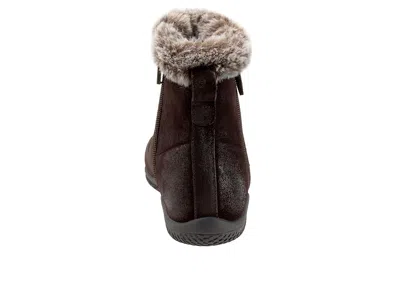 Softwalk Helena In Brown