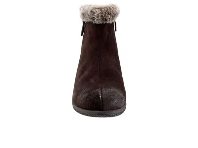 Softwalk Helena In Brown