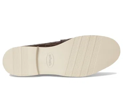 Softwalk Walsh In Brown
