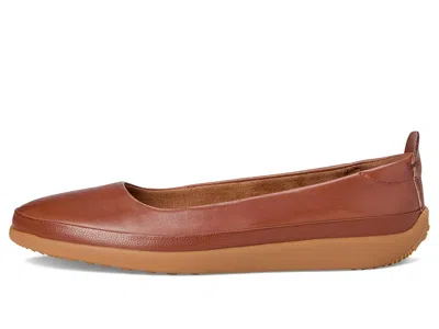 Softwalk Disa In Brown
