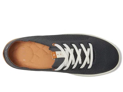 Reef Neptune In Gray