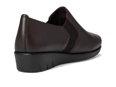 Spring Step Arete In Brown