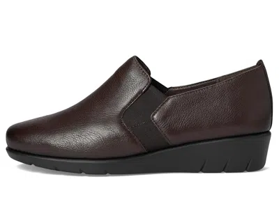 Spring Step Arete In Brown