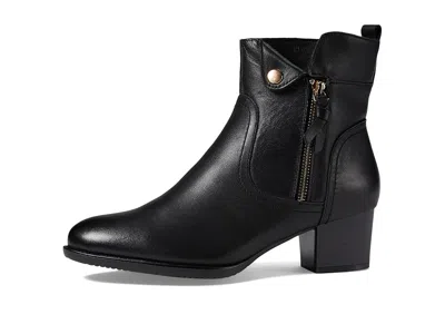 Spring Step Nazca In Black