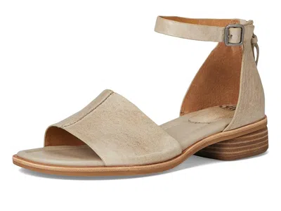 Söfft Faxyn In Brown