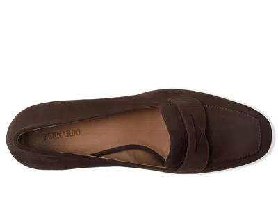 Bernardo Nessa High In Brown