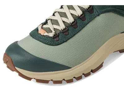 Danner Trail Trainer 3
