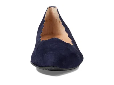 French Sole Tequila In Blue