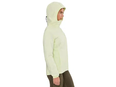 Arc'teryx Atom Hoodie In Multi