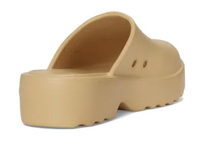Roxy Maddy In Brown