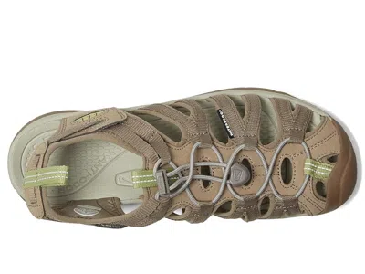 Keen Whisper In Brown