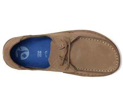 Birkenstock Utti Lace Suede Derby Shoes In Brown
