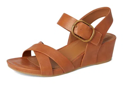 Eurosoft Rowe In Multi