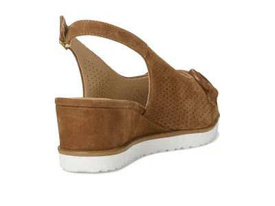 Vaneli Dabry High In Brown