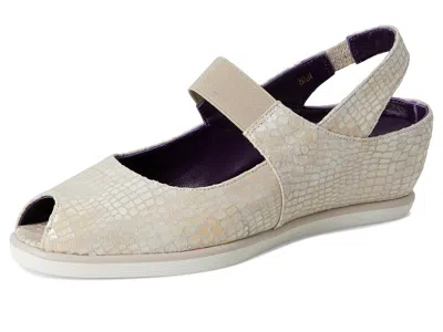 Vaneli Rayce In Multi