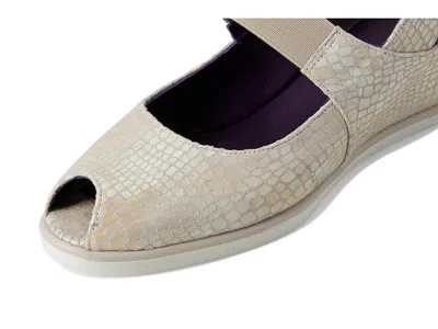 Vaneli Rayce In Multi