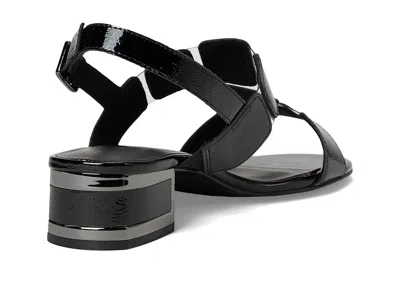 Vaneli Hatty In Black