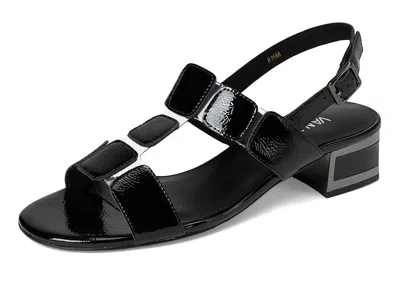 Vaneli Hatty In Black