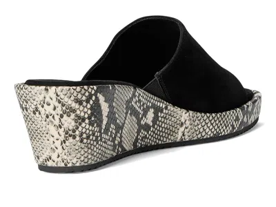 Vaneli Calla In Black