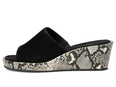 Vaneli Calla In Black