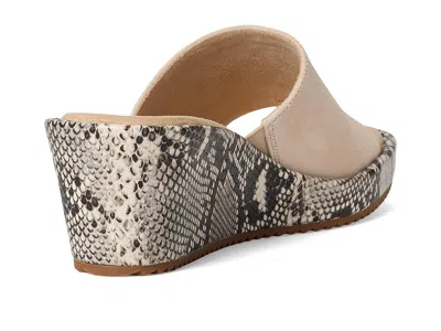 Vaneli Calla In Nude