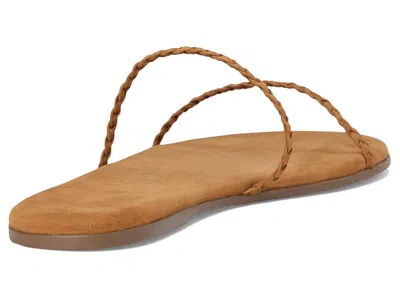 Tkees Gemma Braid In Brown