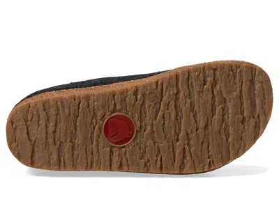 Haflinger Gzh In Black