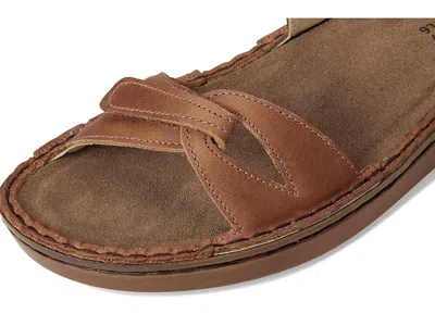 Naot Evora In Brown