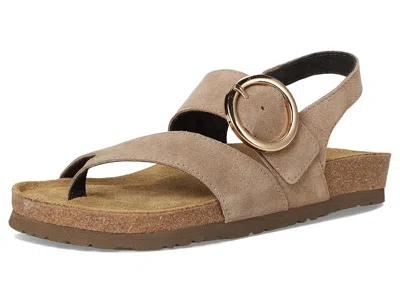Naot Baltimore In Brown