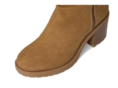 Roxy Clementine In Brown