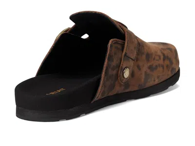 Ariat Country Mules In Multi