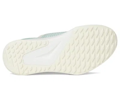 Allbirds Tree Glider