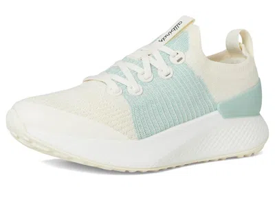 Allbirds Tree Glider