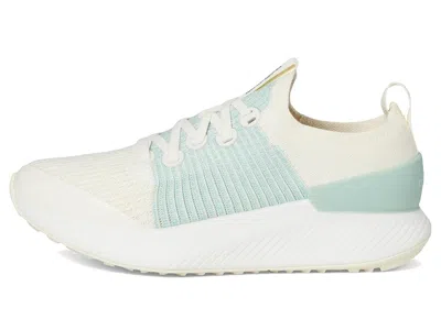 Allbirds Tree Glider