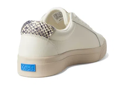 Keds Pursuit Lace Up In Multi