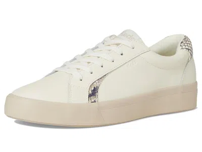 Keds Pursuit Lace Up In Multi