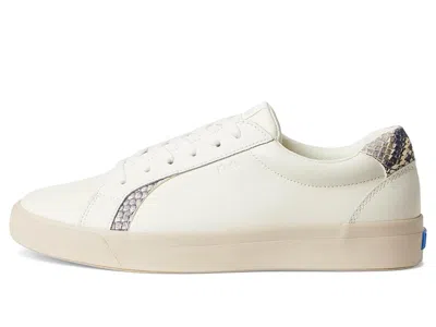 Keds Pursuit Lace Up In Multi