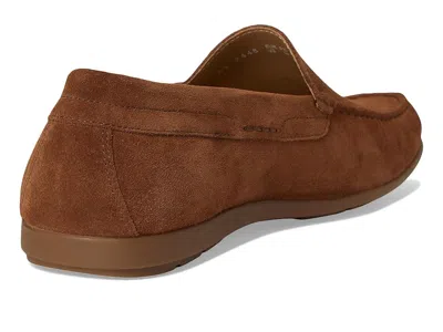 Mephisto Algoras In Brown