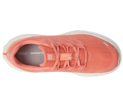 Salomon Aero Glide 3 In Multi