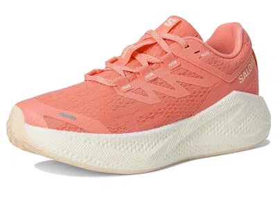 Salomon Aero Glide 3 In Multi