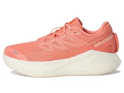 Salomon Aero Glide 3 In Multi