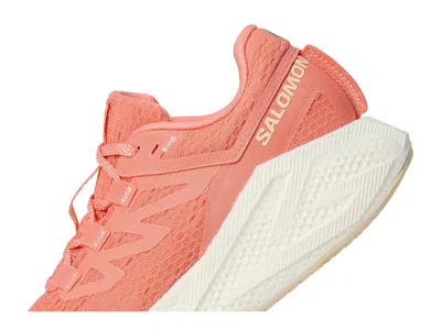 Salomon Aero Glide 3 In Multi