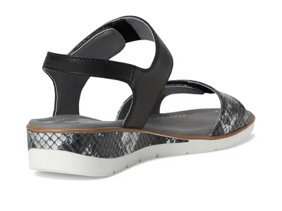 David Tate Civic In Black