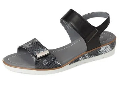 David Tate Civic In Black