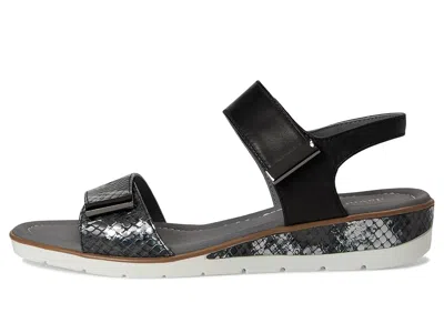 David Tate Civic In Black